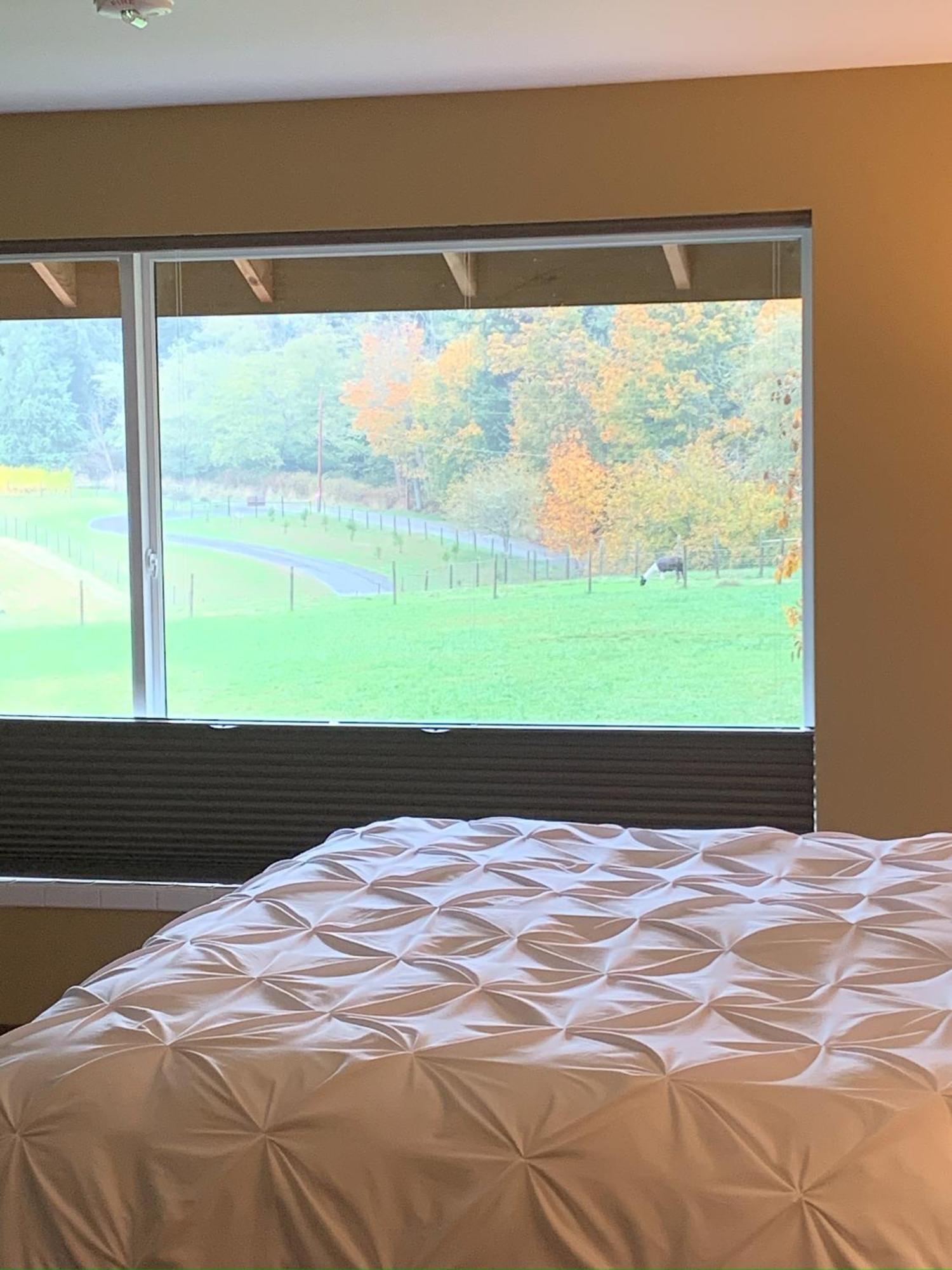 Comforts Of Whidbey ラングリー エクステリア 写真